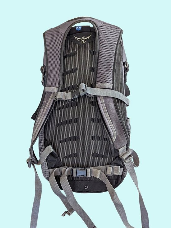 Osprey Daylite H2O Pack with mesh side pockets main image 5